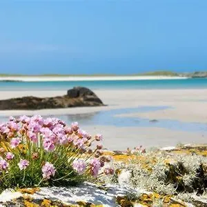 Guest house Wild Atlantic Self-catering, Inverin